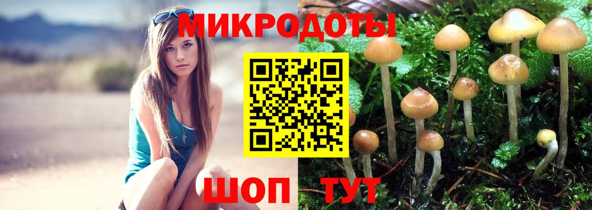 Псилоцибиновые грибы Psilocybe Урай